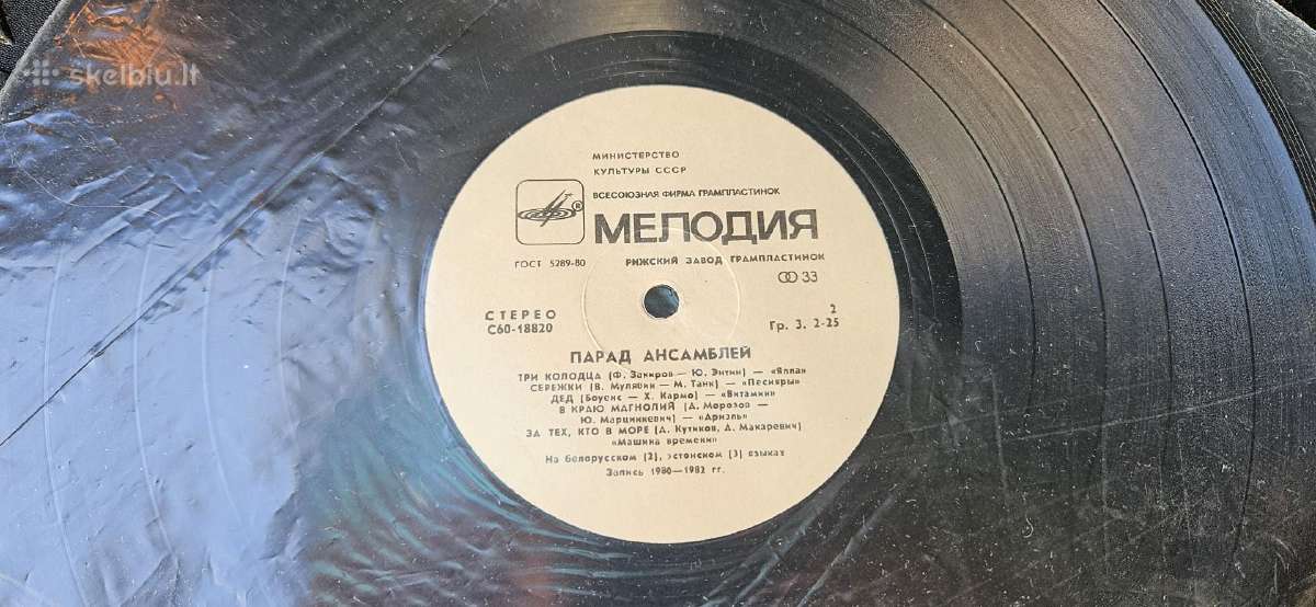 Vinilas - nuotraukos Nr. 2