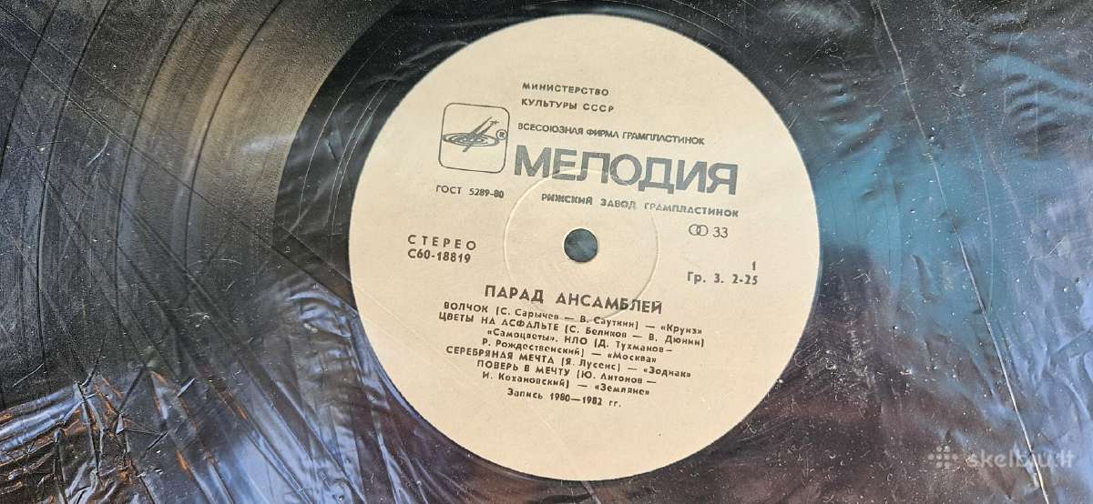 Vinilas - nuotraukos Nr. 3