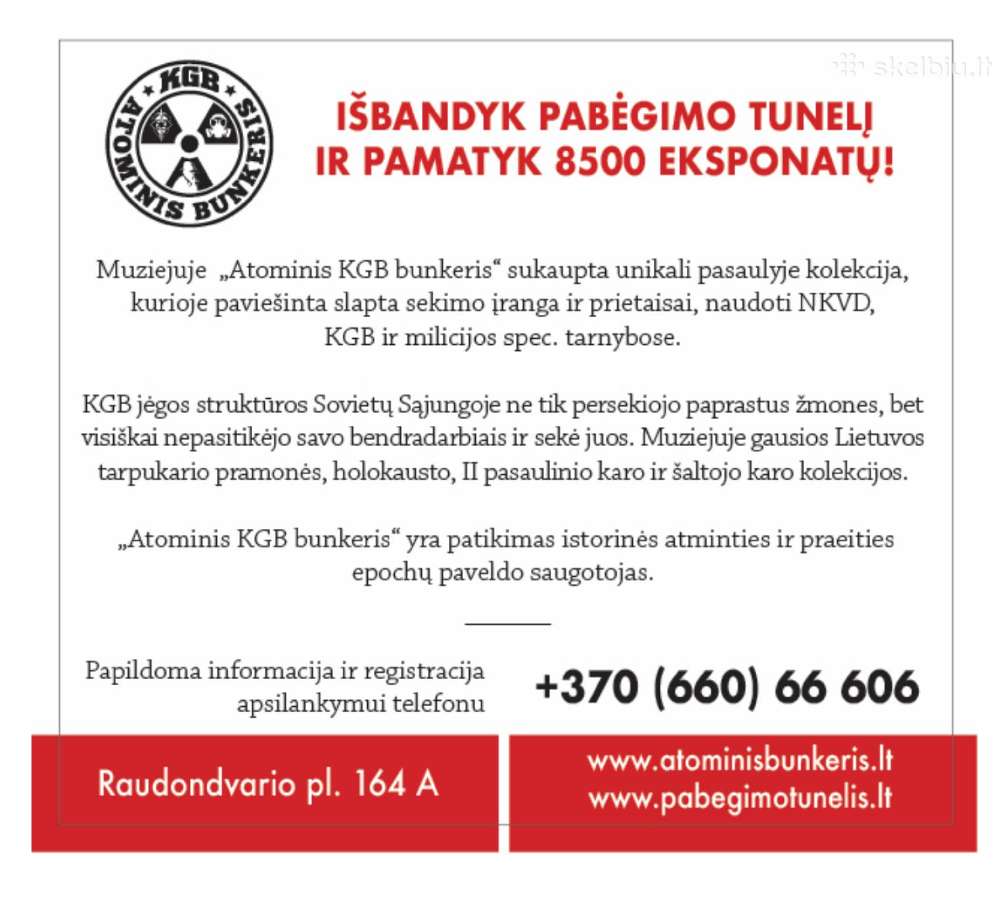 Senovinis retas bokalas su moneta - nuotraukos Nr. 10