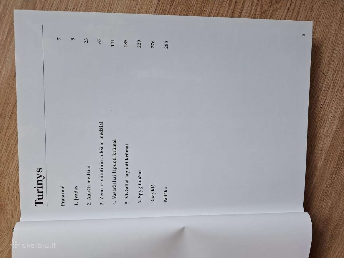 Dekoratyvinių medžių ir krūmų enciklopedija - nuotraukos Nr. 2