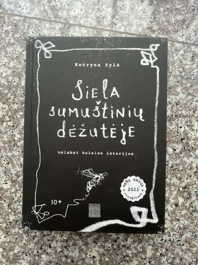 Knyga Siela sumuštinių dėžutėje, Kotryna Zylė