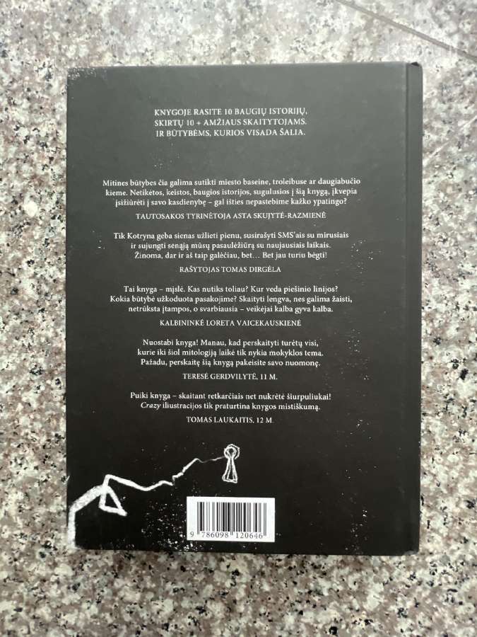 Knyga Siela sumuštinių dėžutėje, Kotryna Zylė - nuotraukos Nr. 4