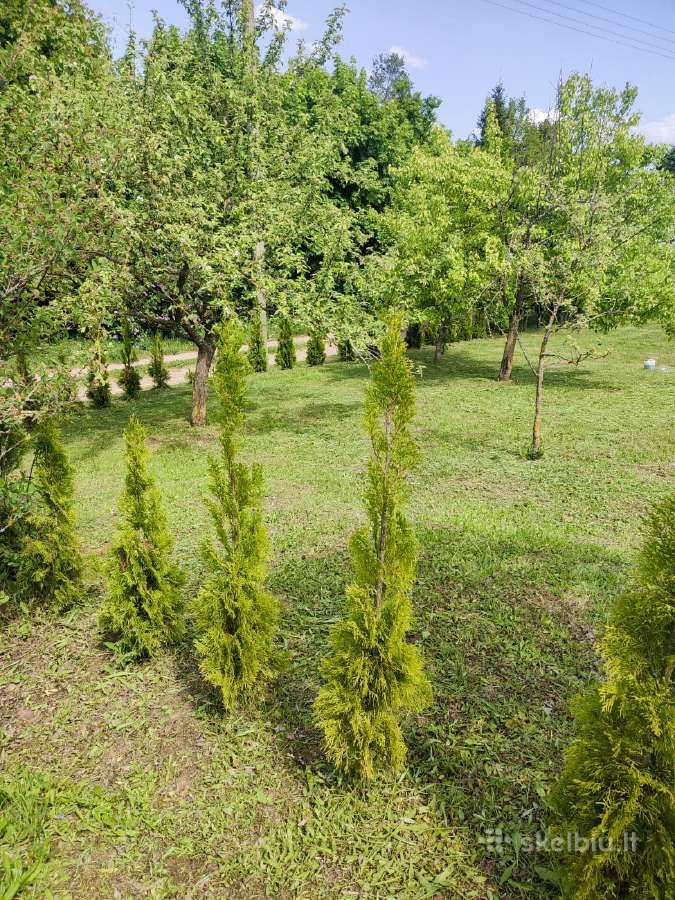 Parduodamas sklypas SB "Šlavanta", Šlavantos k. - nuotraukos Nr. 3