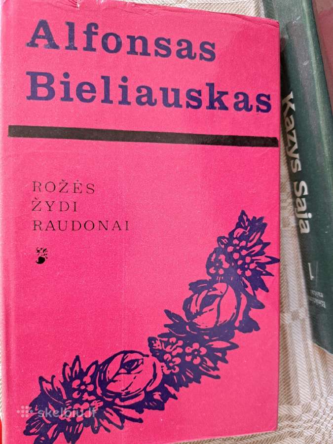 11 senų knygų - nuotraukos Nr. 2