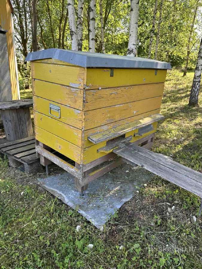 Parduodu avilius - nuotraukos Nr. 7