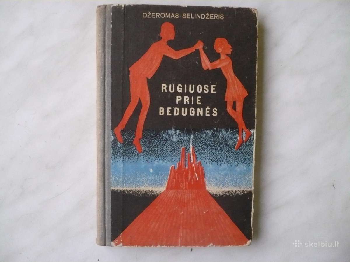 Dž. Selindžeris - Rugiuose prie bedugnės