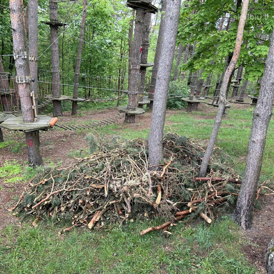Pavojingų,avarinių medžių pjovimas, sklypų valymas - nuotraukos Nr. 18