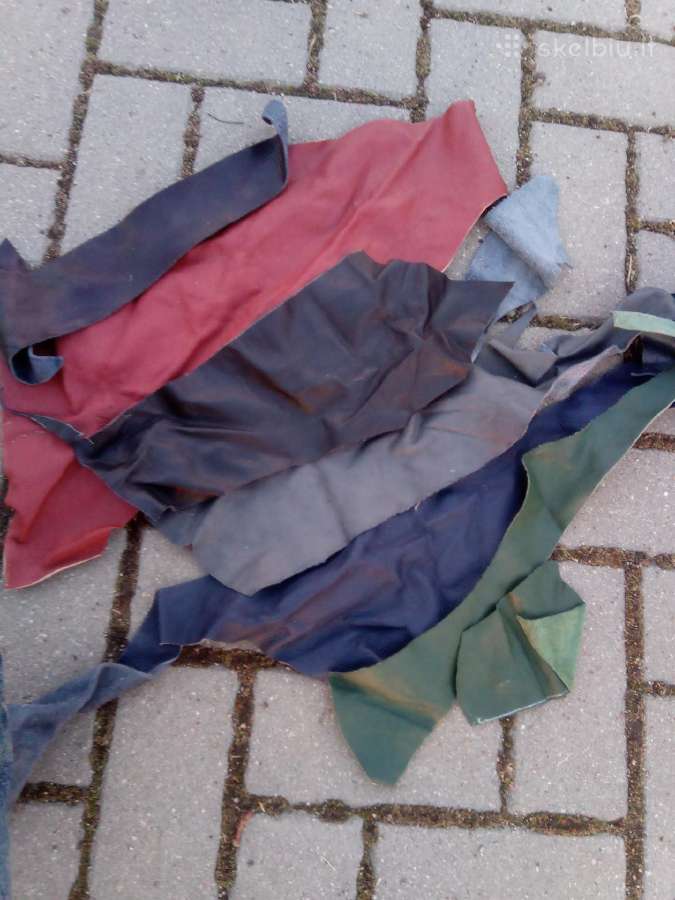 Odos atraižos