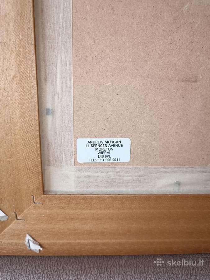 Romantinis paveikslas puosniu rėminimu - nuotraukos Nr. 12