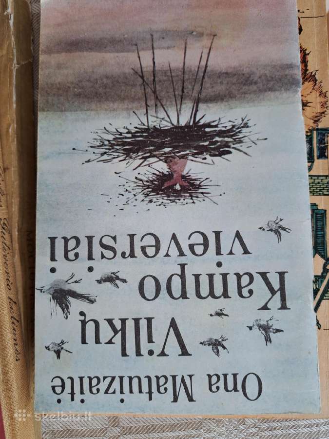 18 knygų paaugliams - nuotraukos Nr. 7
