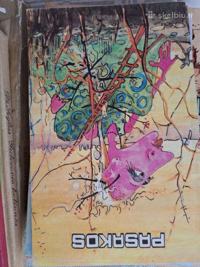 18 knygų paaugliams - nuotraukos Nr. 8