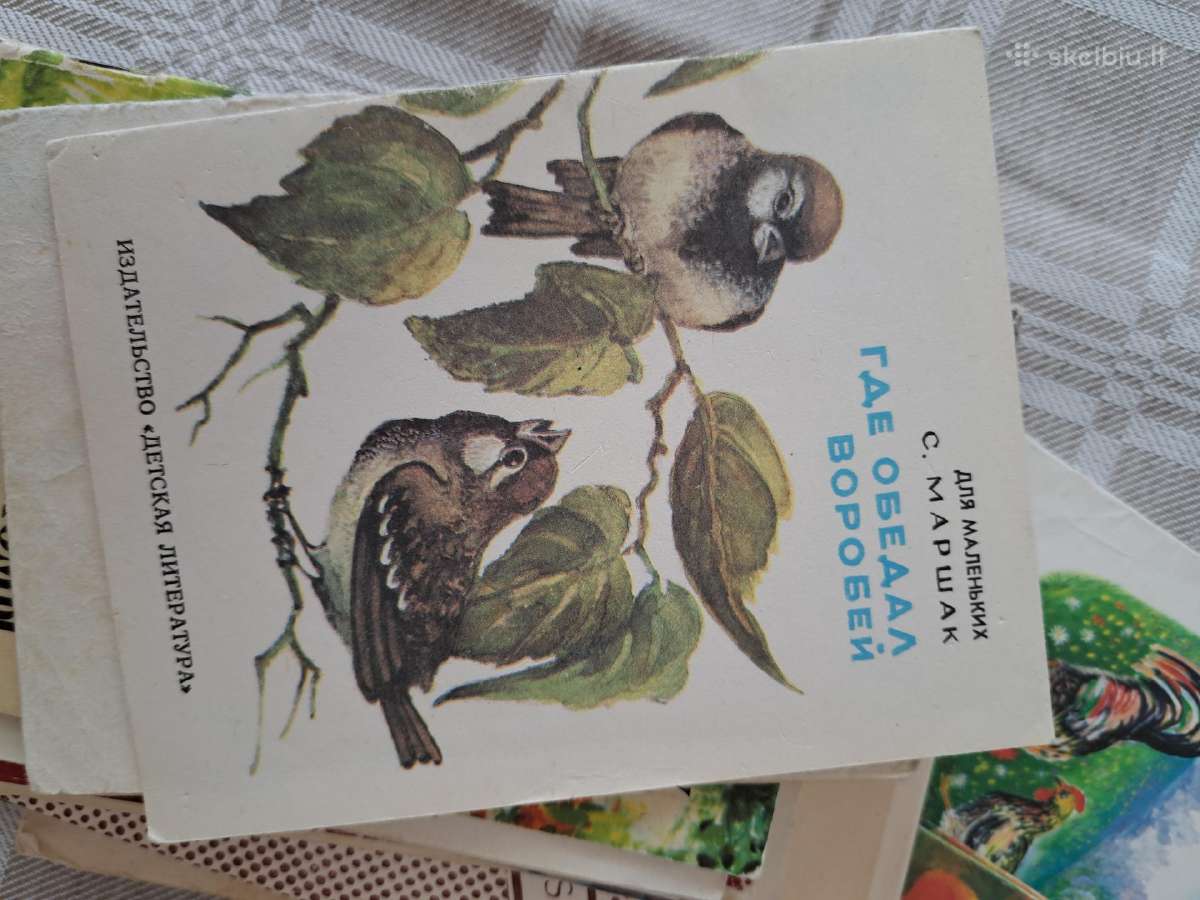 Knygelės atvirukai - nuotraukos Nr. 12