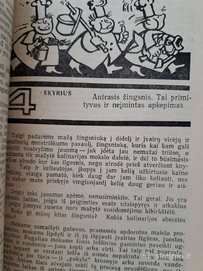 Senovinės knygos - nuotraukos Nr. 33