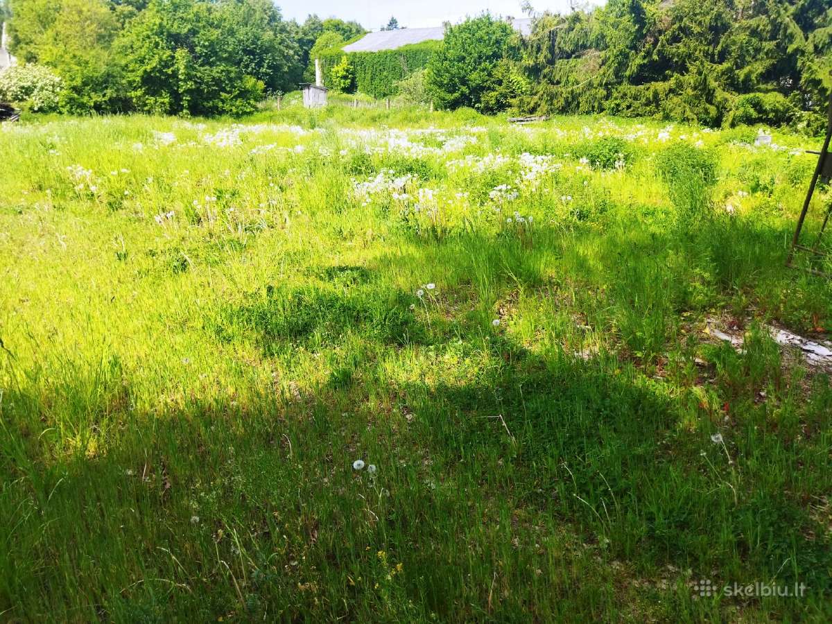 Žolės ir medžių pjovimas - nuotraukos Nr. 19