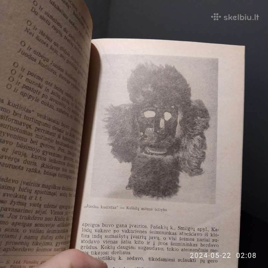 Pranė Dundulienė "Lietuvių šventės: tradicijos, - nuotraukos Nr. 4