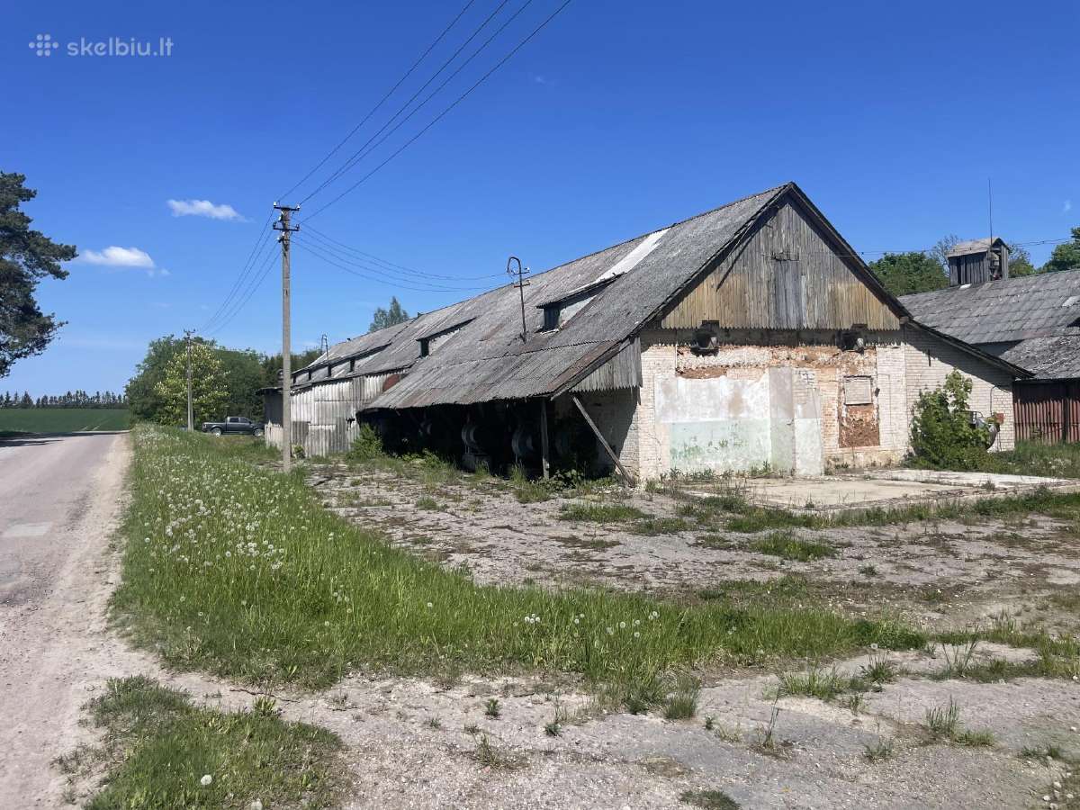 Sandėliavimo patalpos - nuotraukos Nr. 29