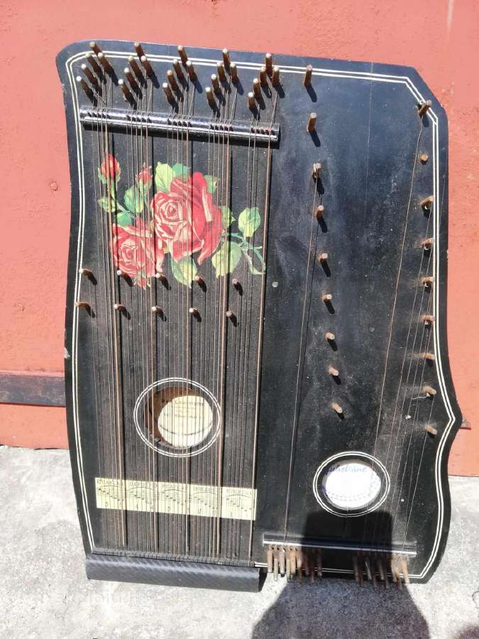 Seniena