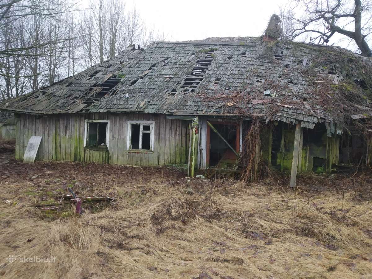 Įvairi mediena Plungės rajone - nuotraukos Nr. 2
