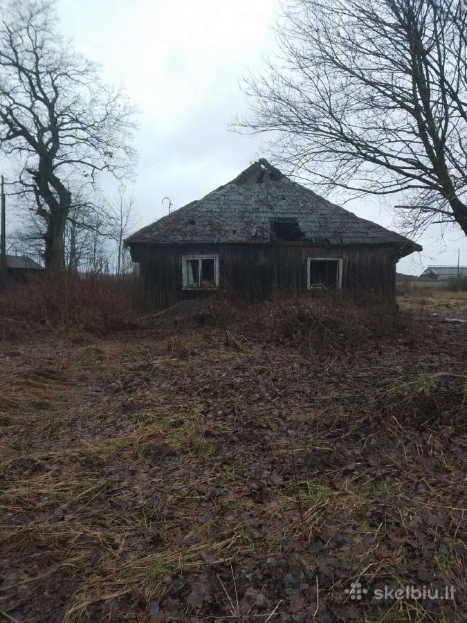 Įvairi mediena Plungės rajone - nuotraukos Nr. 6