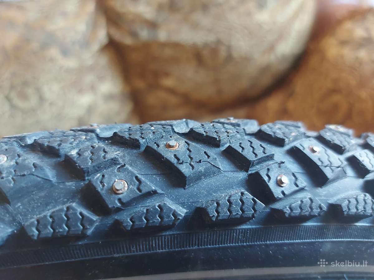 Schwalbe Winter Marathon Plus 28x2.00 - nuotraukos Nr. 5