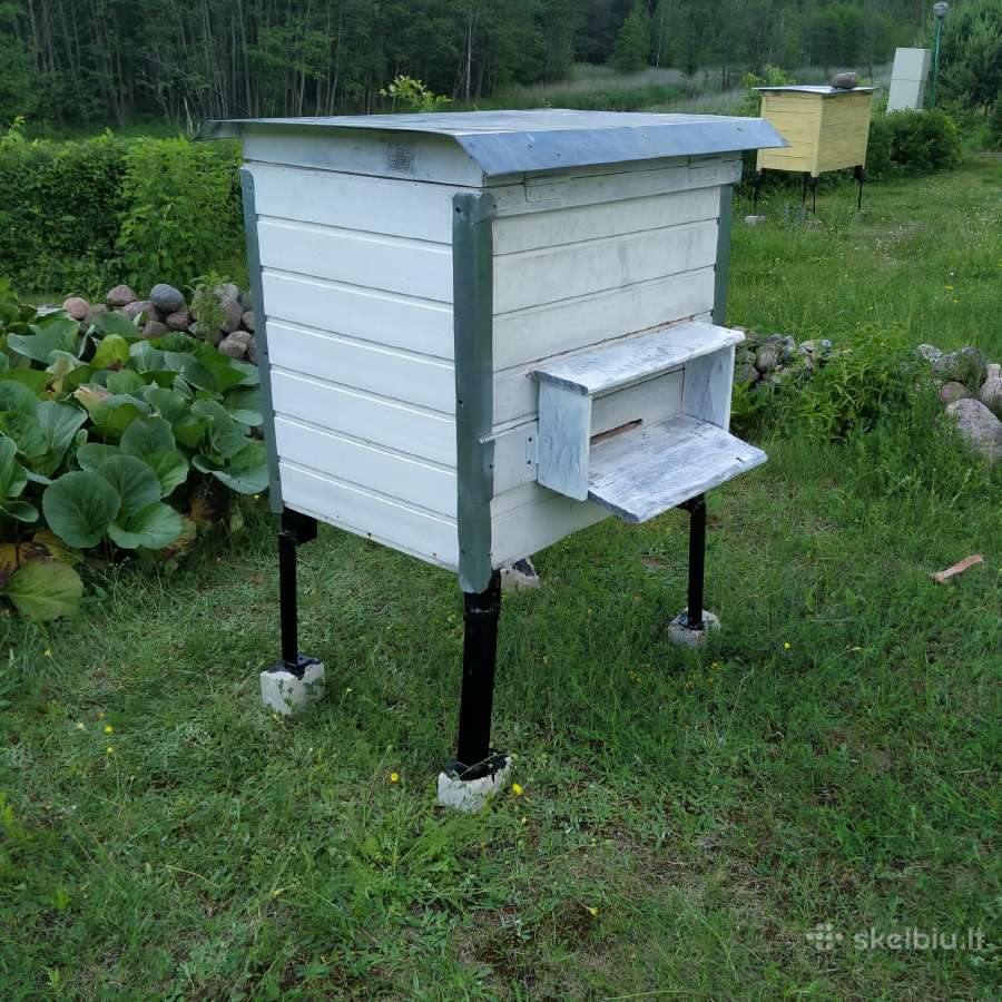Parduodami aviliai po 160 e
