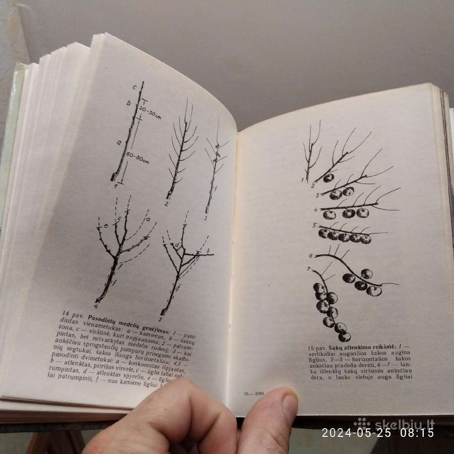 S. Švirinas "Jaunajam sodininkui" 1990 metai - nuotraukos Nr. 6