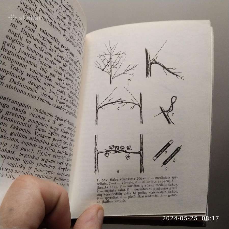 S. Švirinas "Jaunajam sodininkui" 1990 metai - nuotraukos Nr. 7