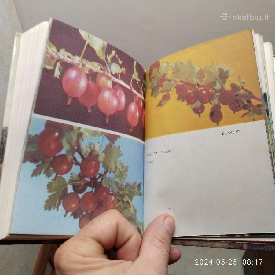 S. Švirinas "Jaunajam sodininkui" 1990 metai - nuotraukos Nr. 8