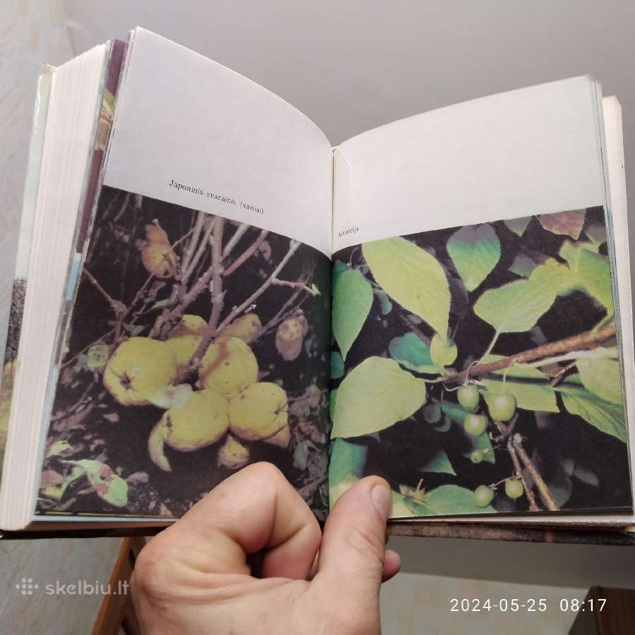 S. Švirinas "Jaunajam sodininkui" 1990 metai - nuotraukos Nr. 9
