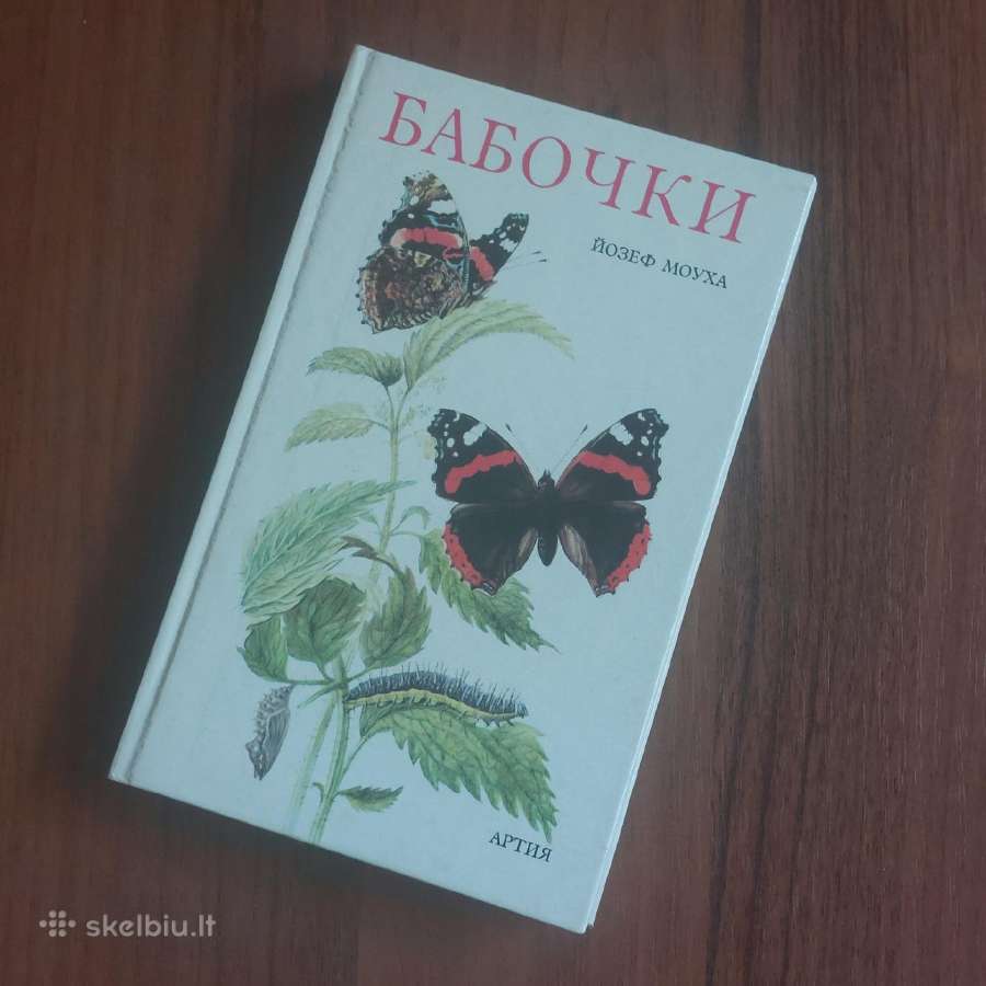 Knyga apie drugelius / Butterflies . - nuotraukos Nr. 2