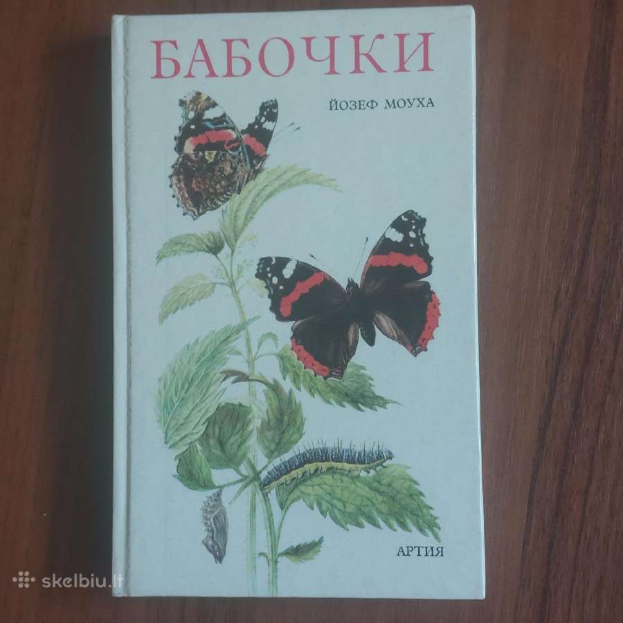 Knyga apie drugelius / Butterflies . - nuotraukos Nr. 3