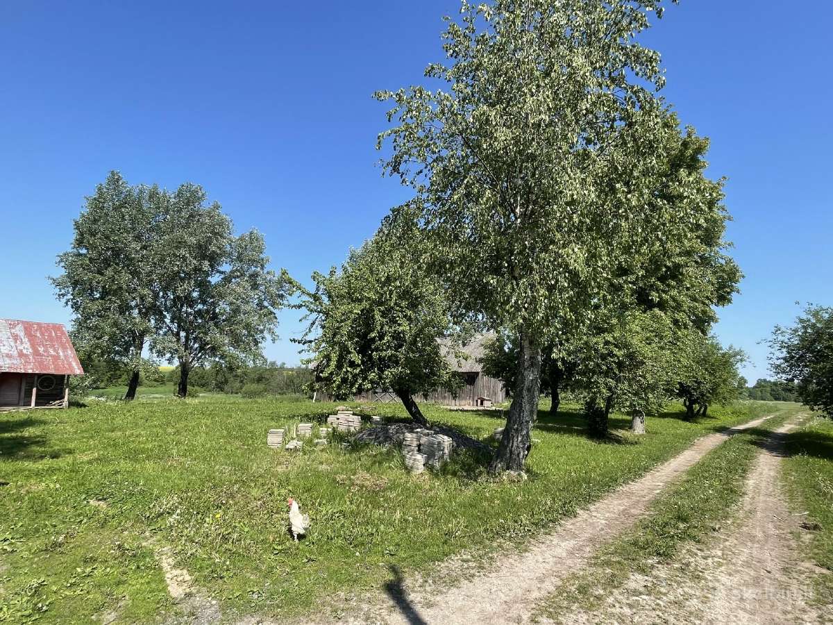 Sodyba prie upės - nuotraukos Nr. 18