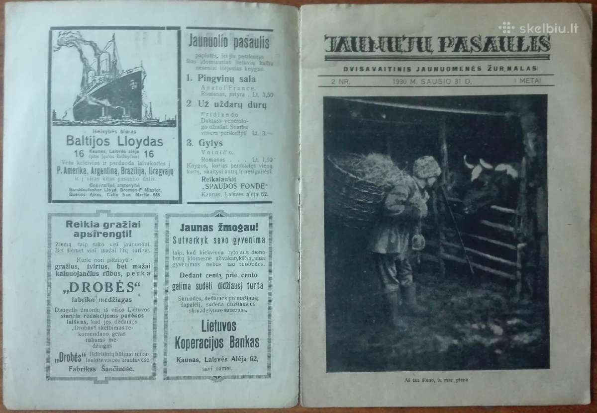 1536. Jaunųjų Pasaulis retas antikvarinis-kolekcin - nuotraukos Nr. 2