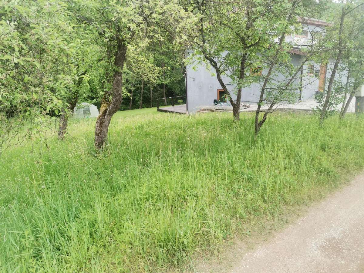 Žolės pjovimas trimeriu ir su žoliapjove. - nuotraukos Nr. 2