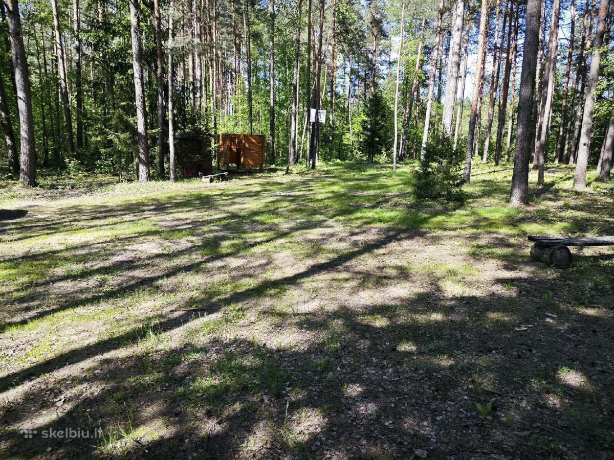 Stovyklavietė ir baidarių nuoma - nuotraukos Nr. 3