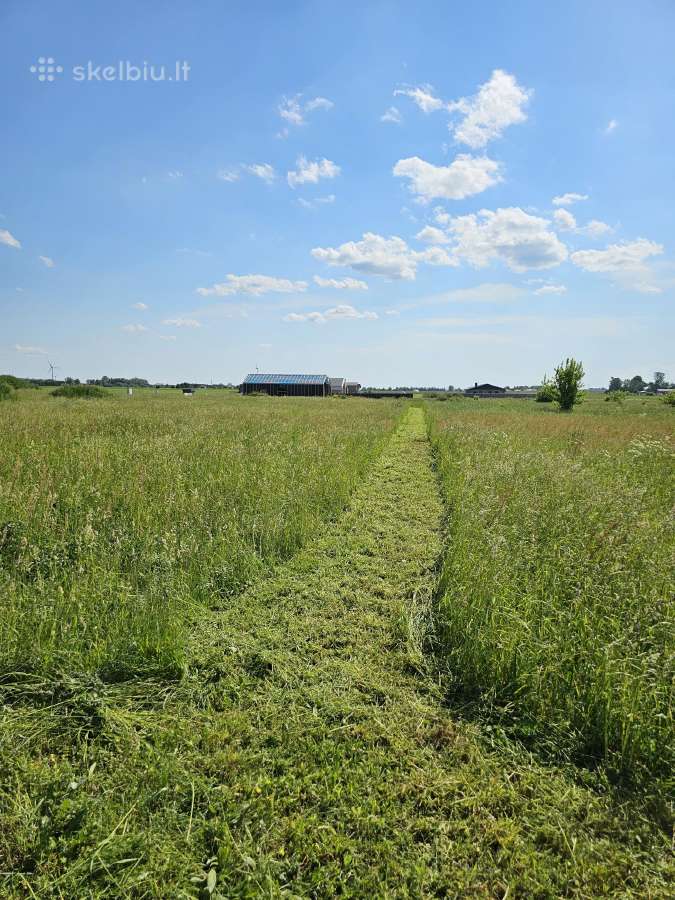 Žolės pjovimas, mulčiavimas, sklypų priežiūra - nuotraukos Nr. 16