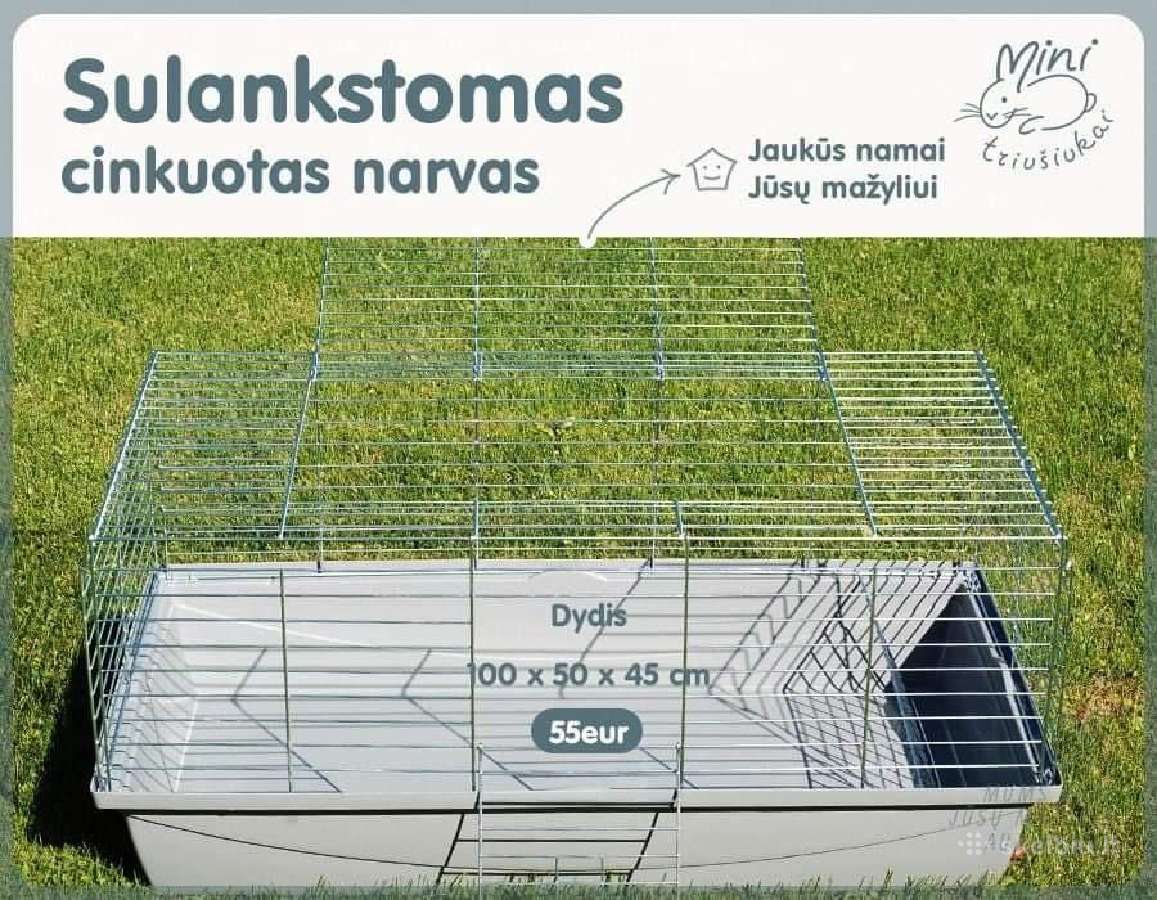 Dekoratyviniai nykštukiniai triušiukai, narveliai - nuotraukos Nr. 31
