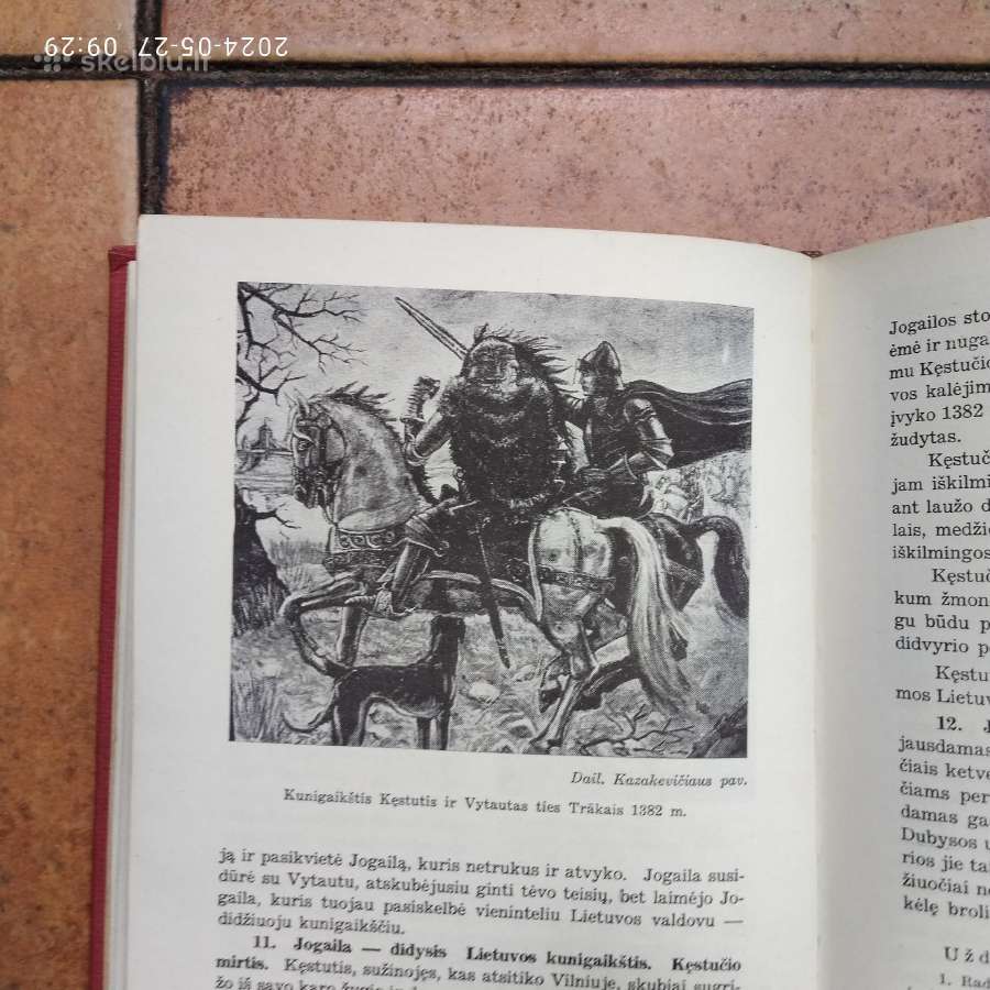 V. Daugirdaitė Sruogienė "Lietuvos istorija" 195? - nuotraukos Nr. 9