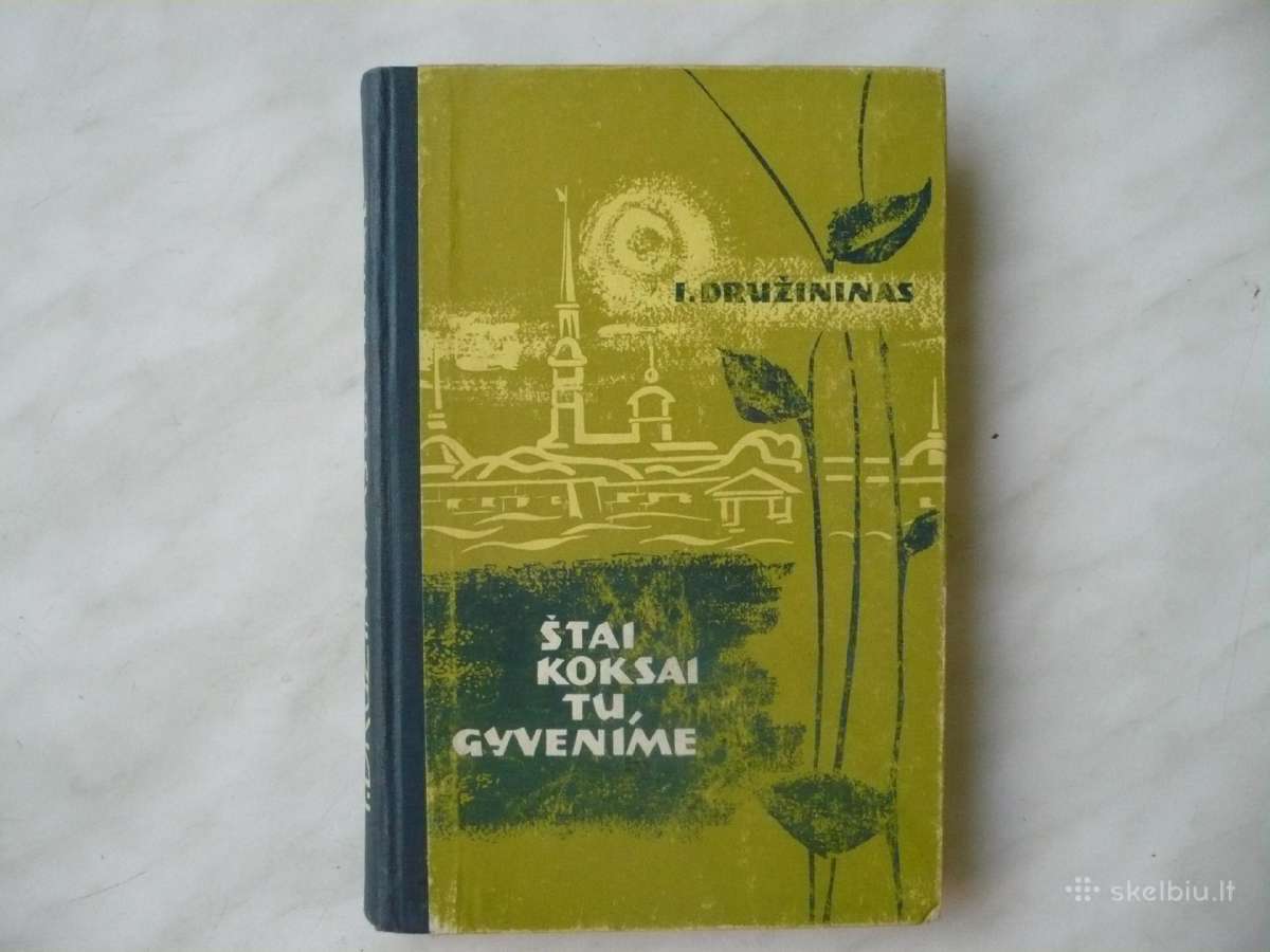 I. Družininas - Štai koksai tu, gyvenime