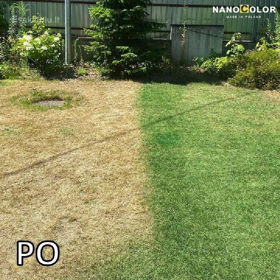 Nanocolor dažai koncentratas žolei, atnaujintojas - nuotraukos Nr. 2
