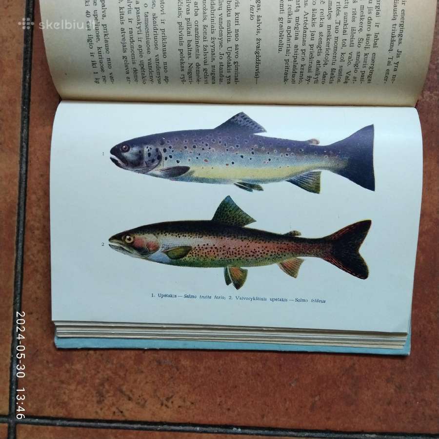 Žūklės klasika ir žūklės dvasingumas - nuotraukos Nr. 11