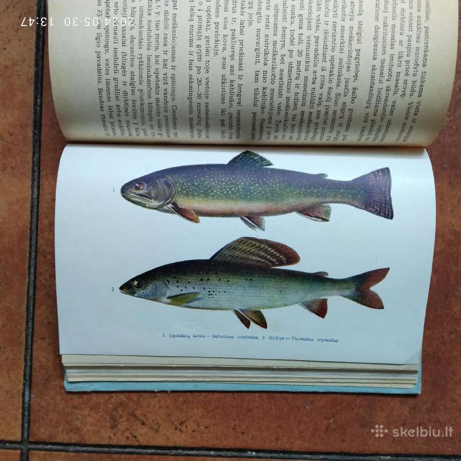 Žūklės klasika ir žūklės dvasingumas - nuotraukos Nr. 13