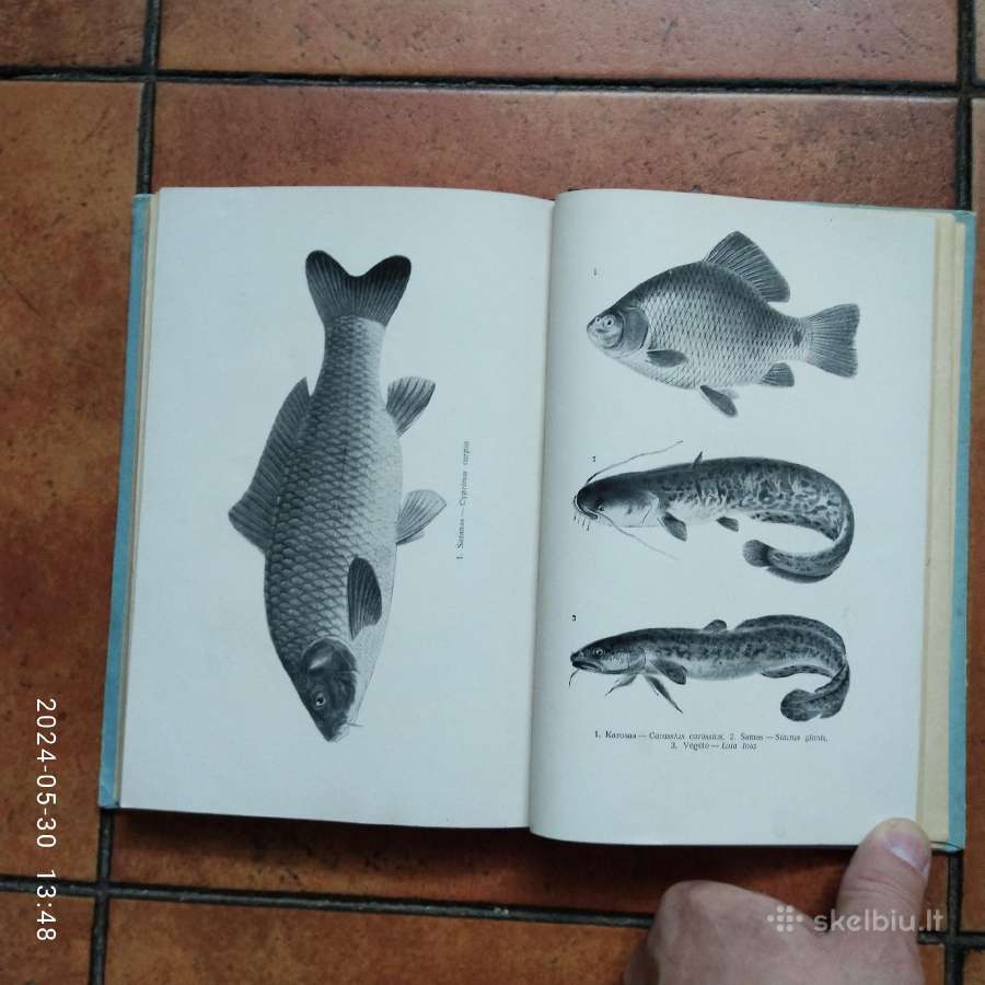 Žūklės klasika ir žūklės dvasingumas - nuotraukos Nr. 16