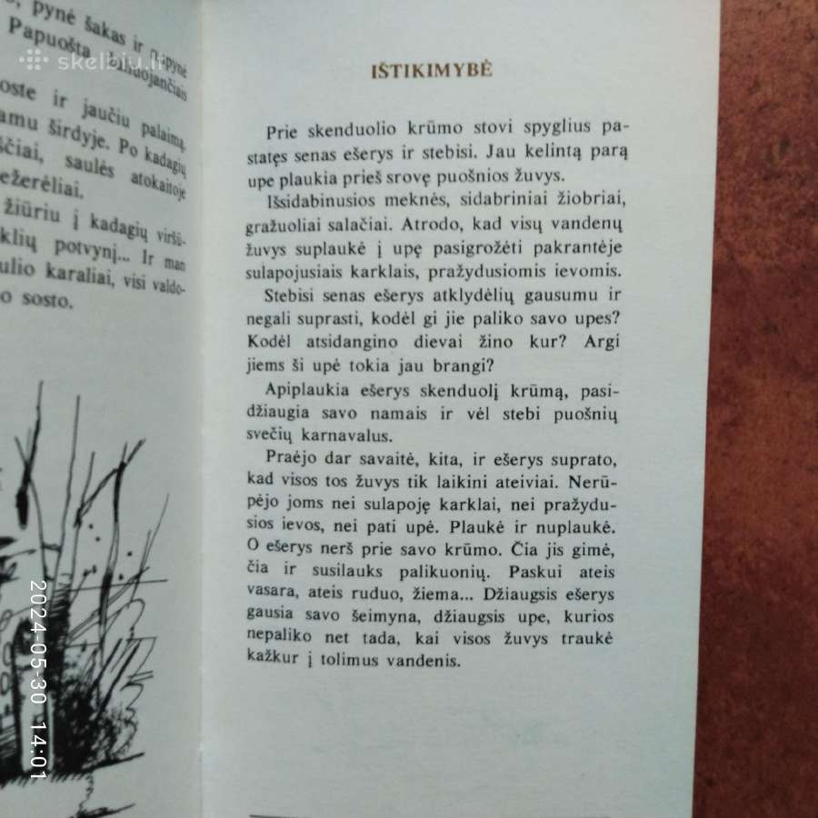 Žūklės klasika ir žūklės dvasingumas - nuotraukos Nr. 24