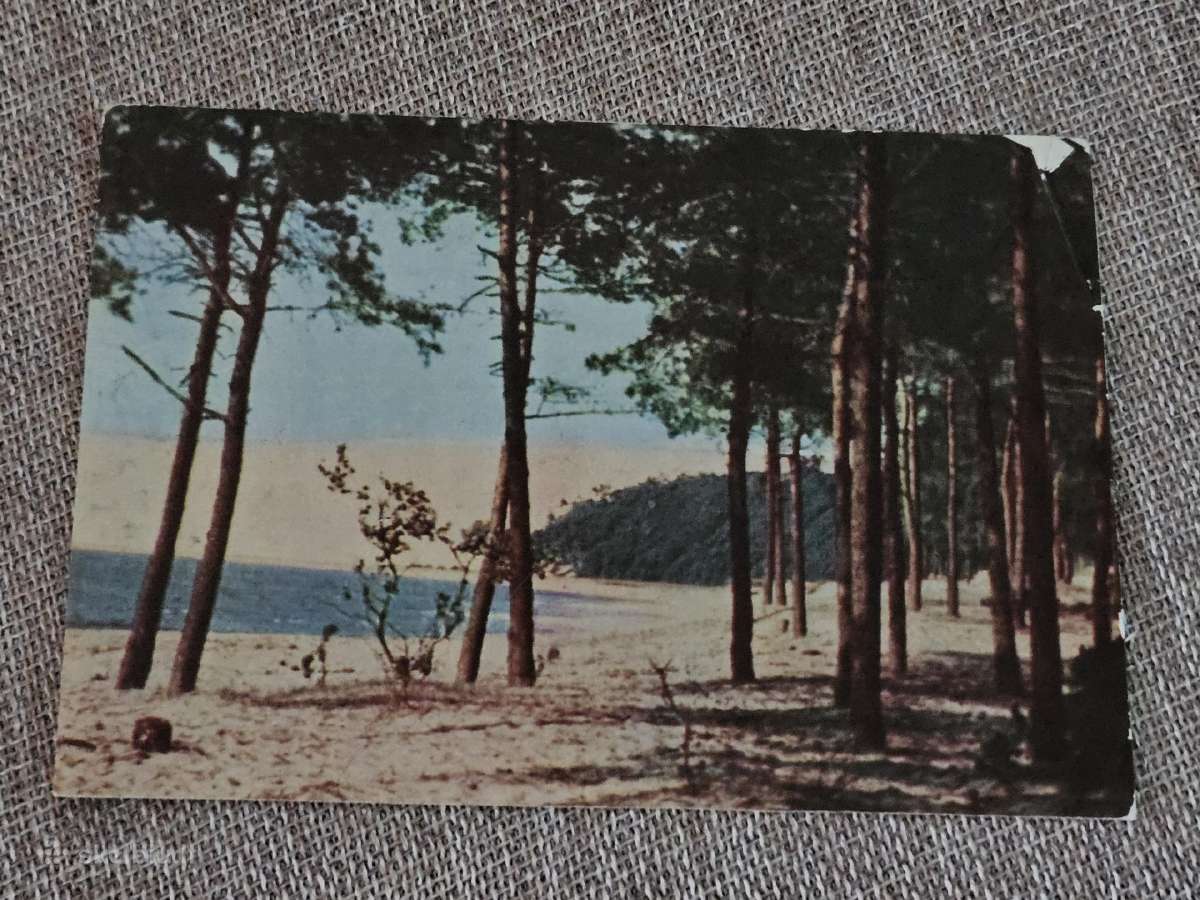 Kuršių Nerija, atvirutė 1965m