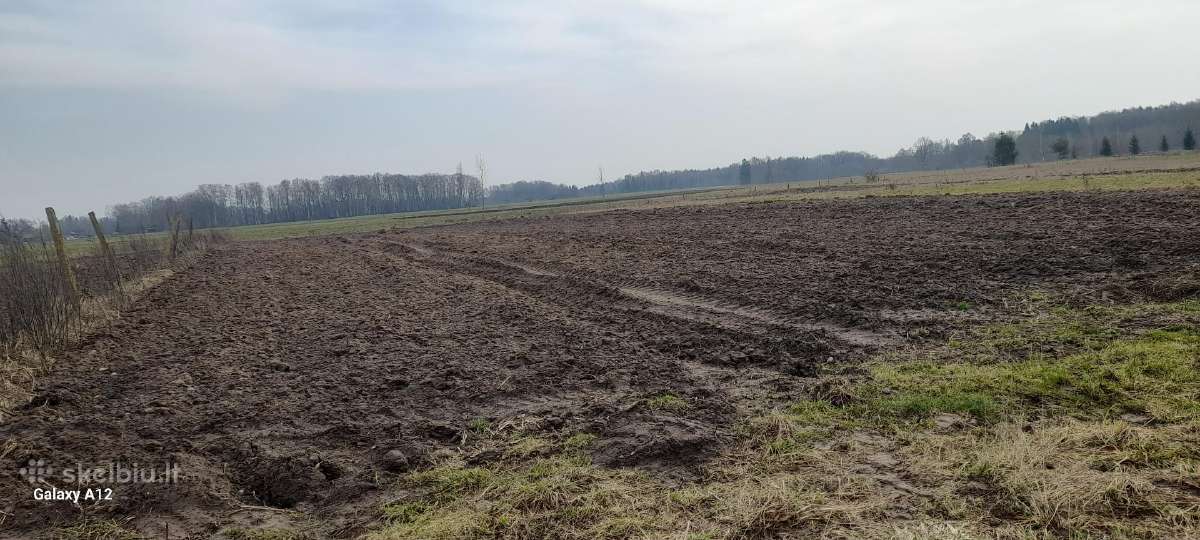 Parduodama apleista sodyba - nuotraukos Nr. 5