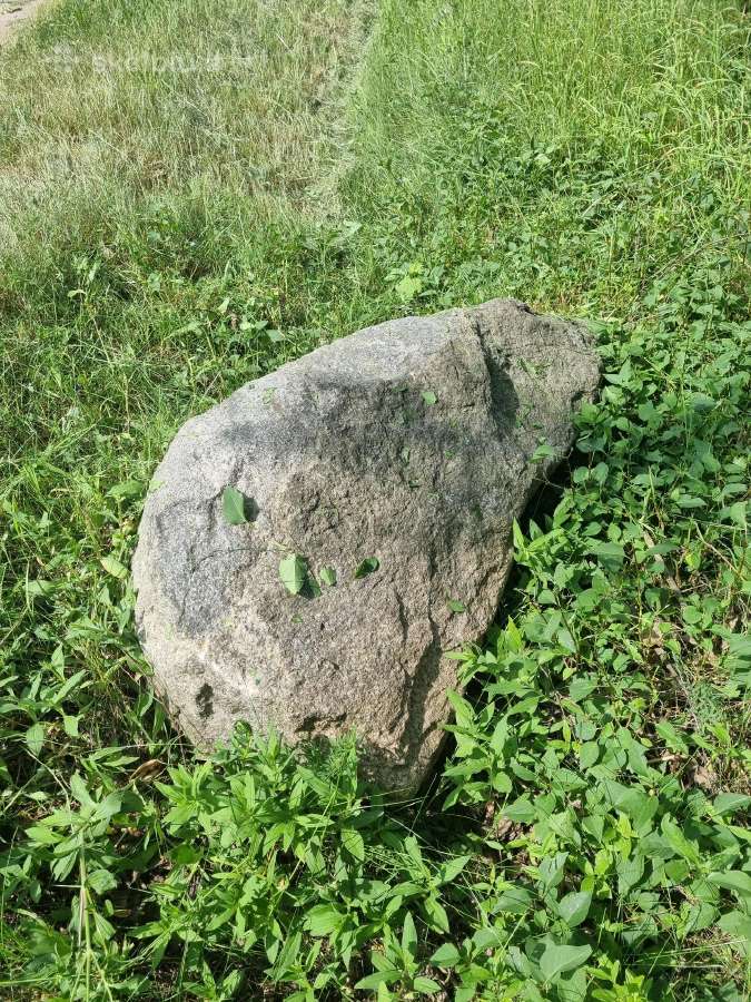 Didelis gražus akmuo alpinariumui - Skelbiu.lt