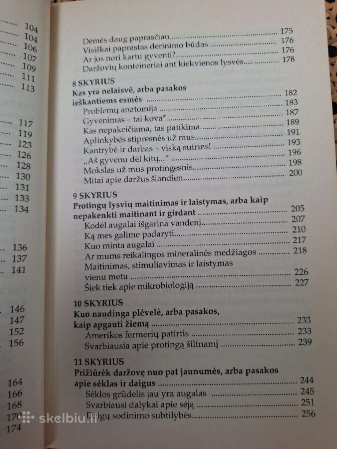Protingas daržas - nuotraukos Nr. 4