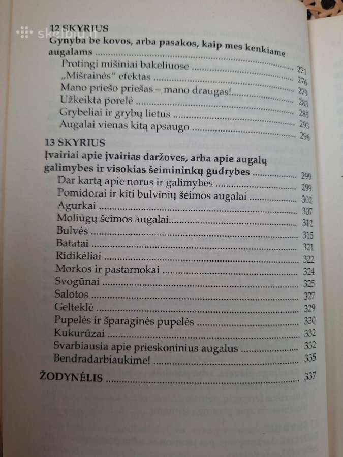 Protingas daržas - nuotraukos Nr. 5