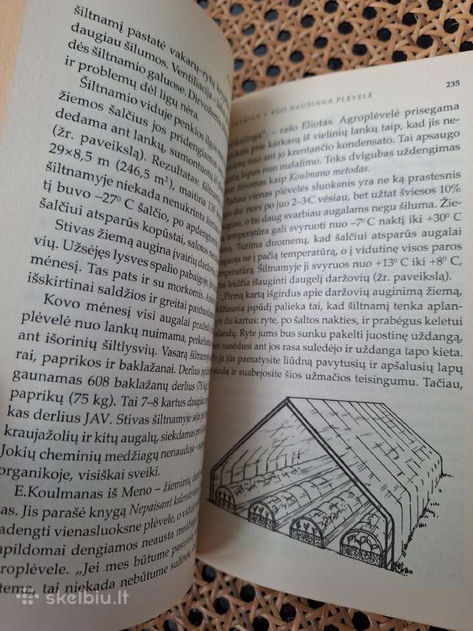 Protingas daržas - nuotraukos Nr. 6